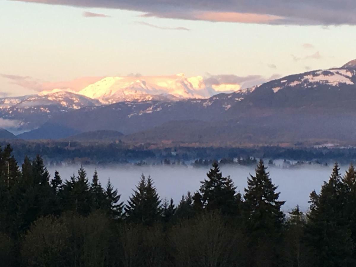 Glacier View Vacation Rental Courtenay Exterior photo